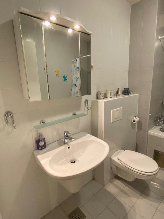 Apartma Felicija 류블랴나 외부 사진